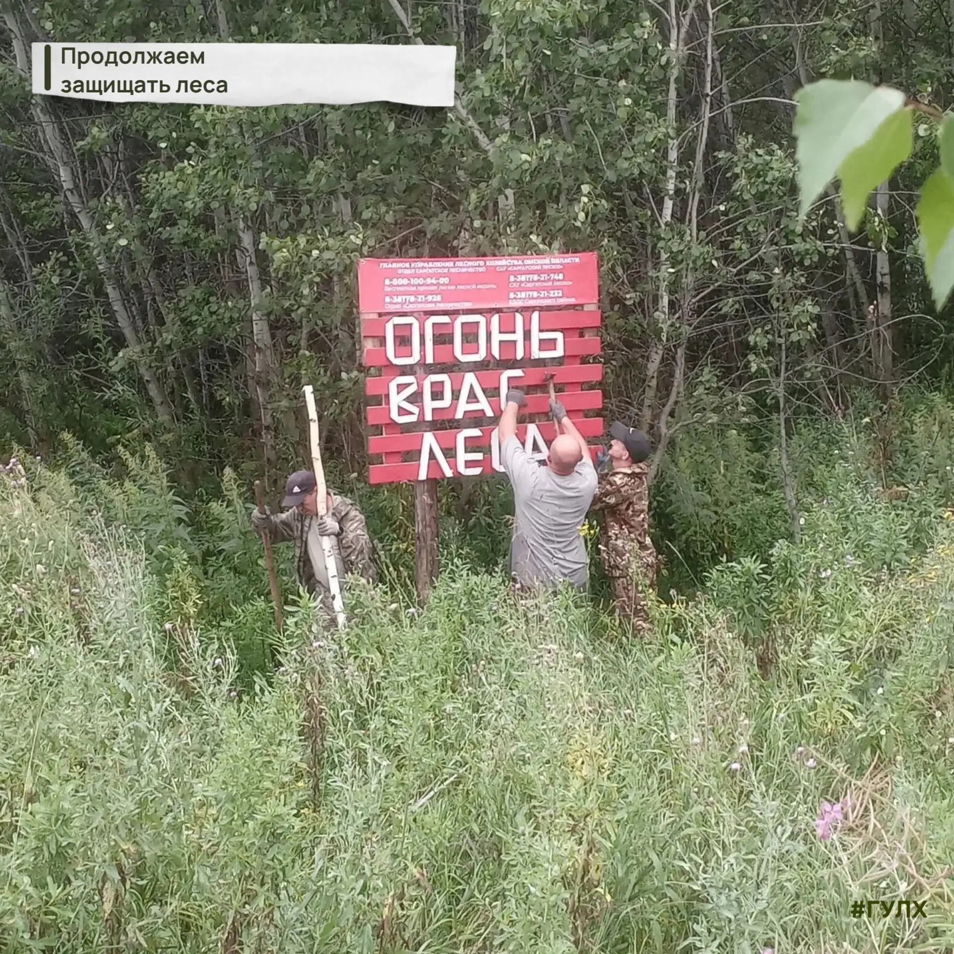 На фото вы видите, как работники Саргатского лесхоза устанавливают в лесу новый аншлаг, напоминая о 