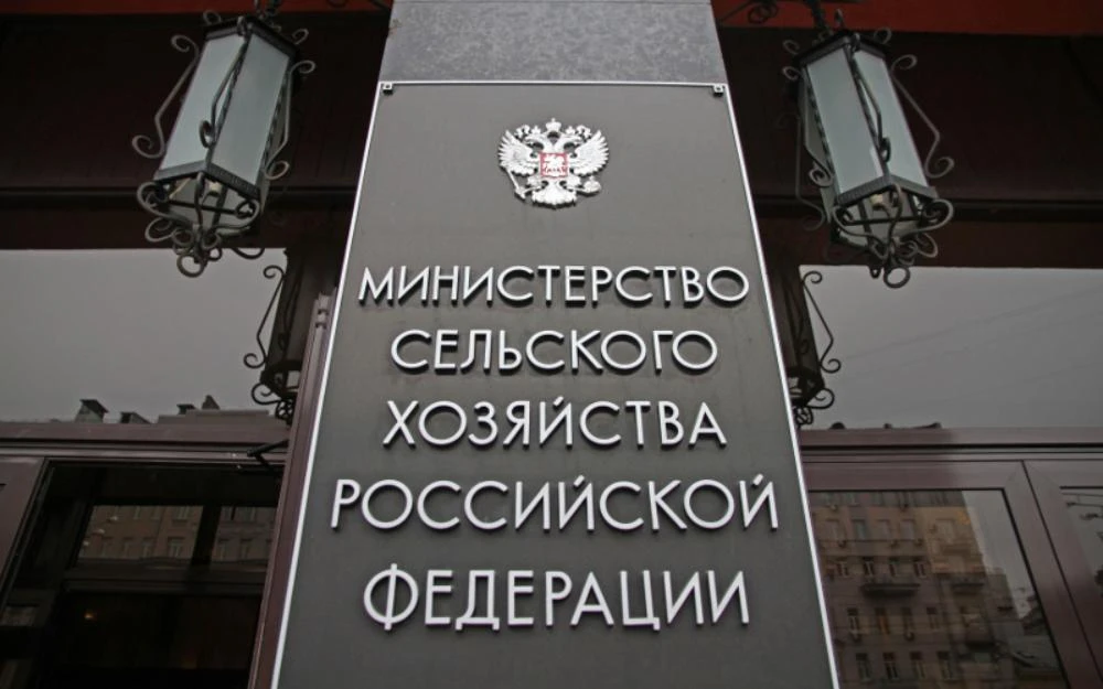 🇷🇺12,5% — рост сбора зерновых в России