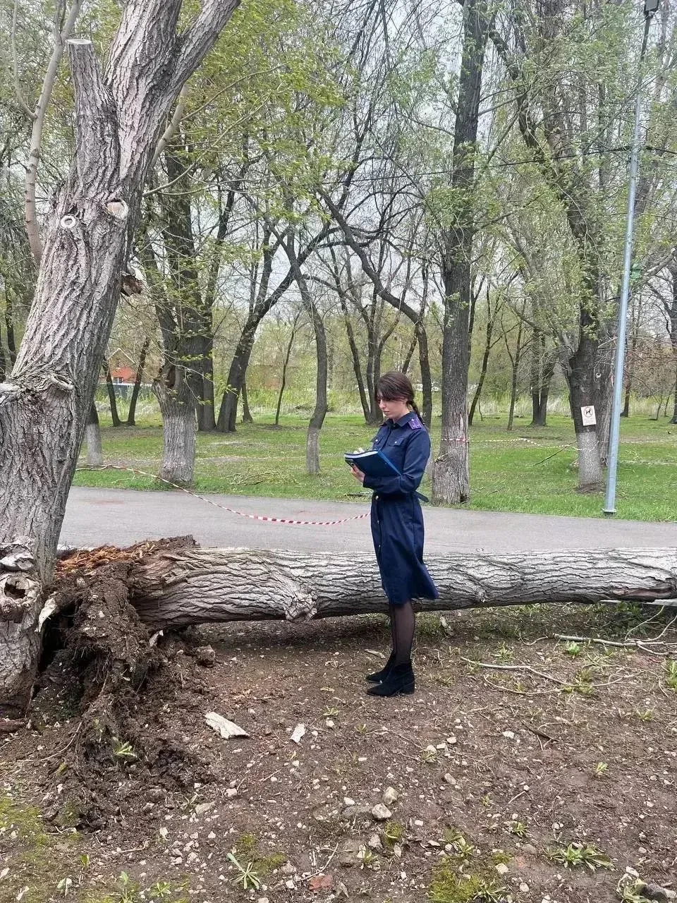 😱В Самаре из-за сильного ветра дерево упало на детей. Один ребенок погиб.  По данным прокураты Самар