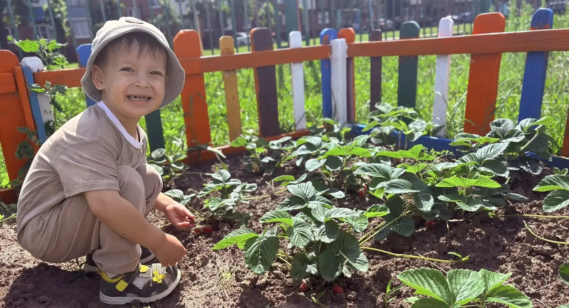 Витамины с грядки: как мы урожай собирали! 🍅🌿

В нашем детском саду лето — время не только игр, но