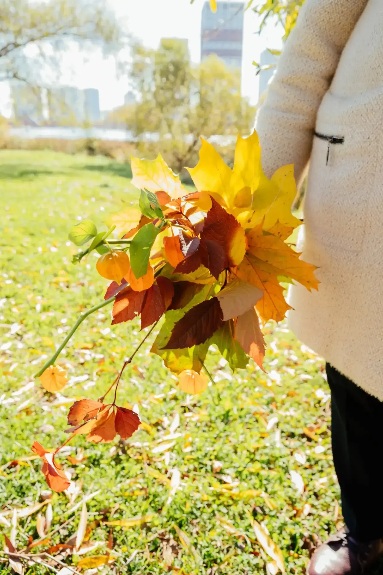 🍂 Осень, которую хочется запомнить