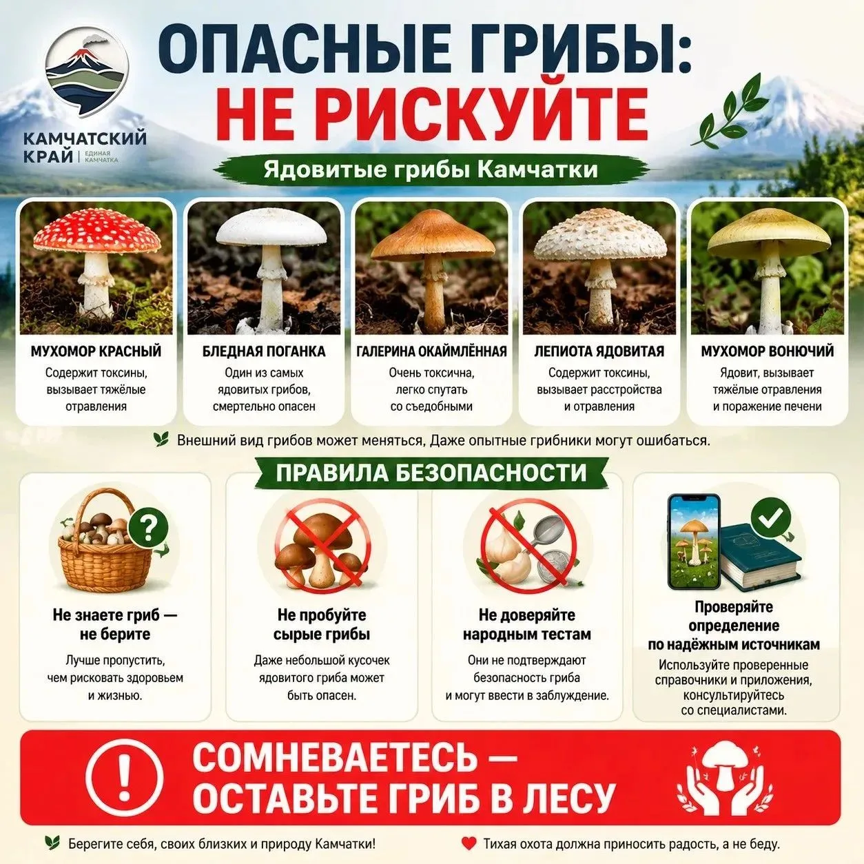 🍄 ОПАСНЫЕ ГРИБЫ КАМЧАТКИ!