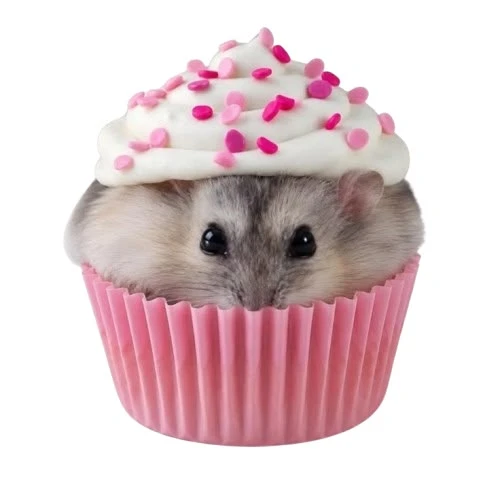 Авы животные кексики 🧁