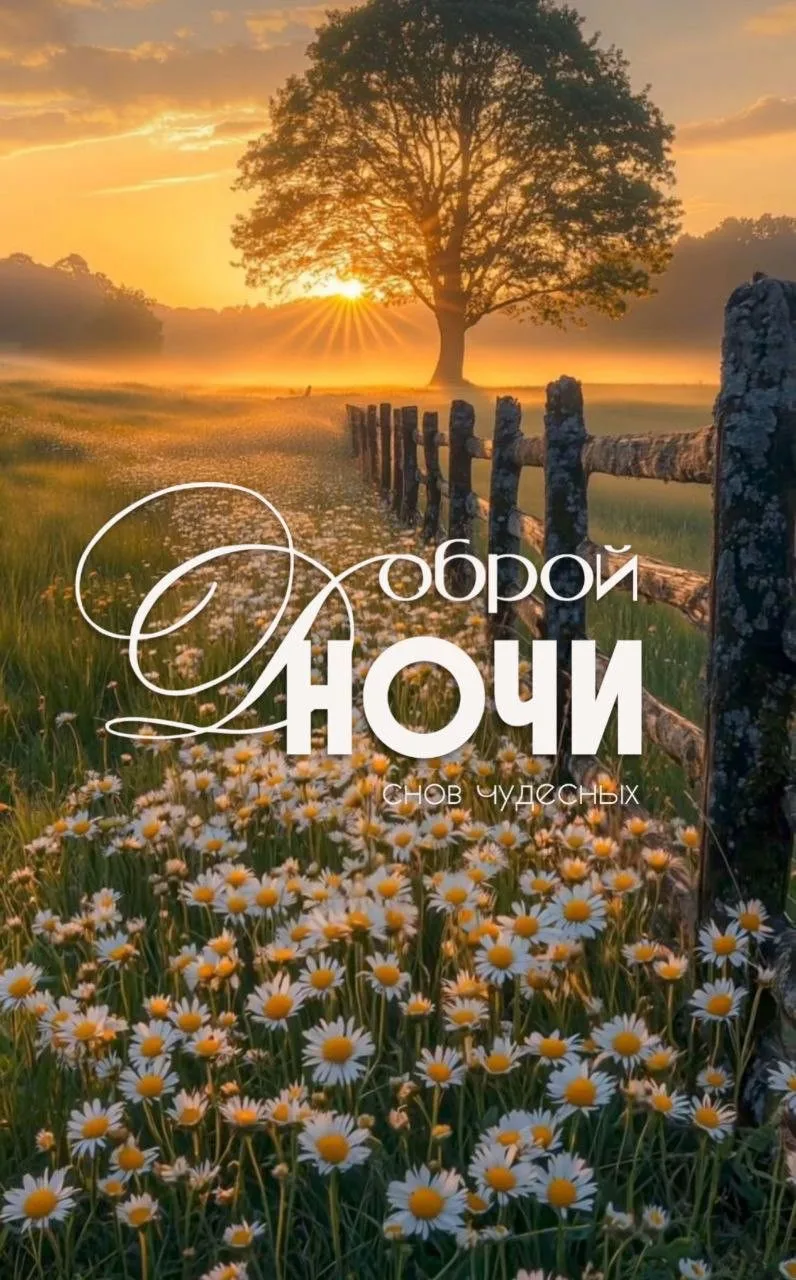 #спокойнойночи