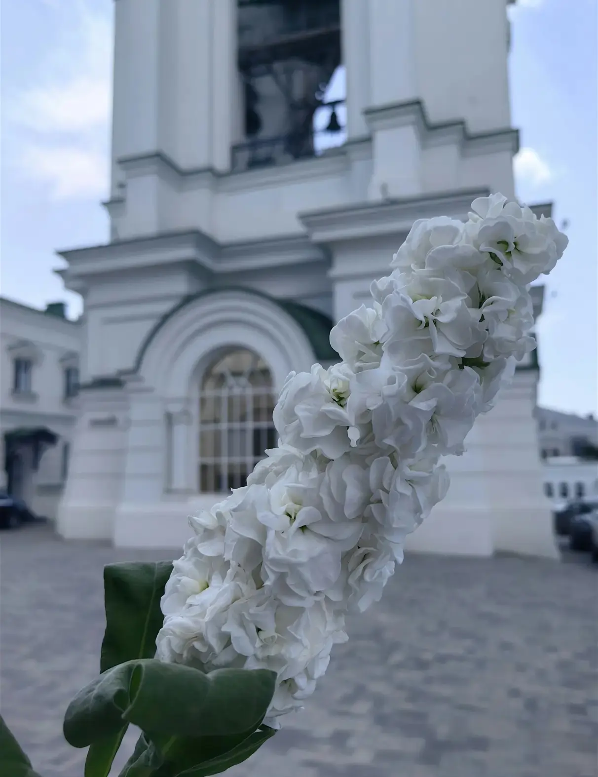 🙏 Представительница Горячего Ключа приняла участие в мероприятиях Недели семьи в Ростове-на-Дону  В 