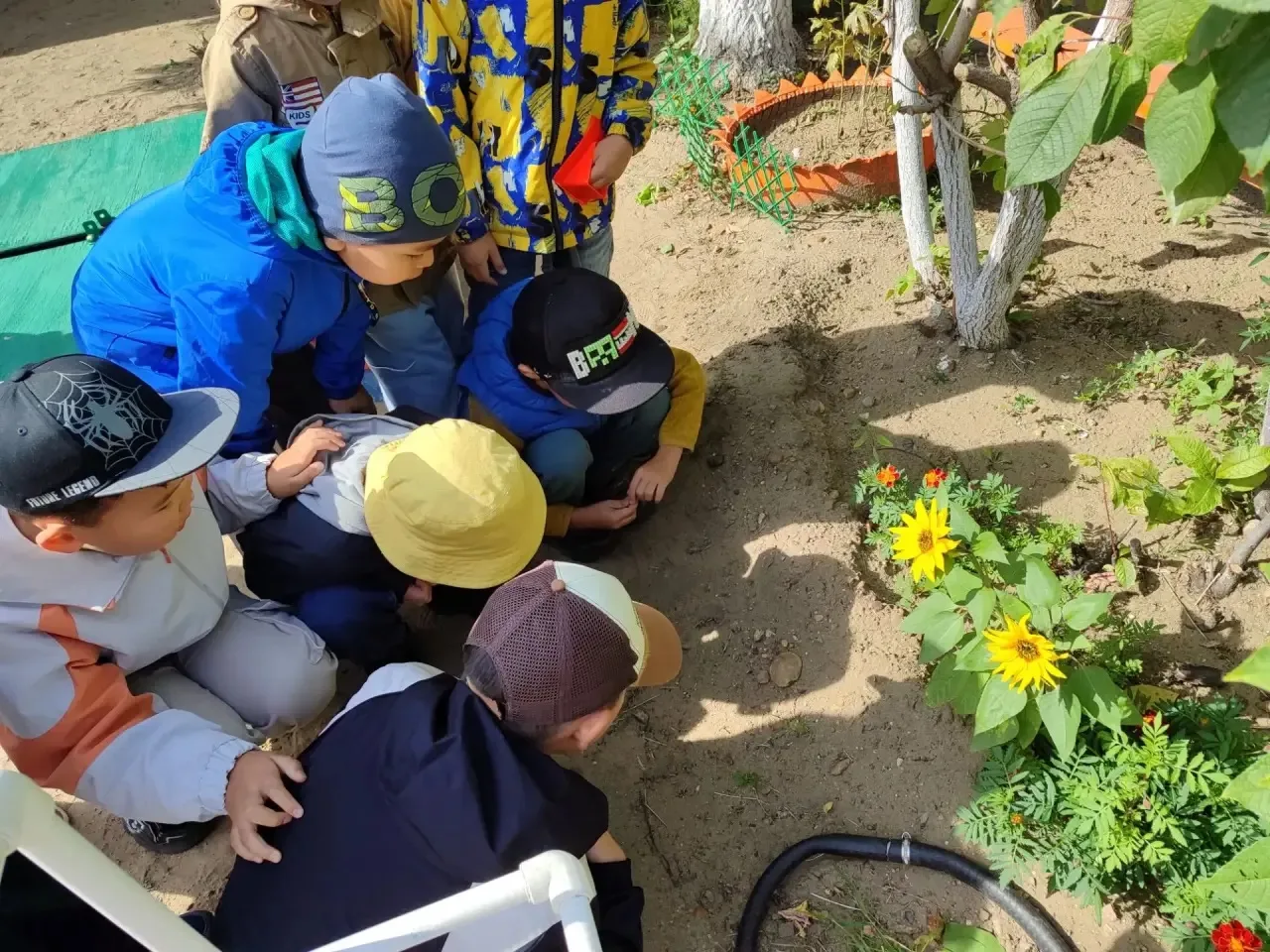 Наше яркое лето! 🌸