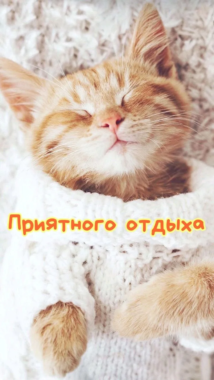 Красивые открытки❤️