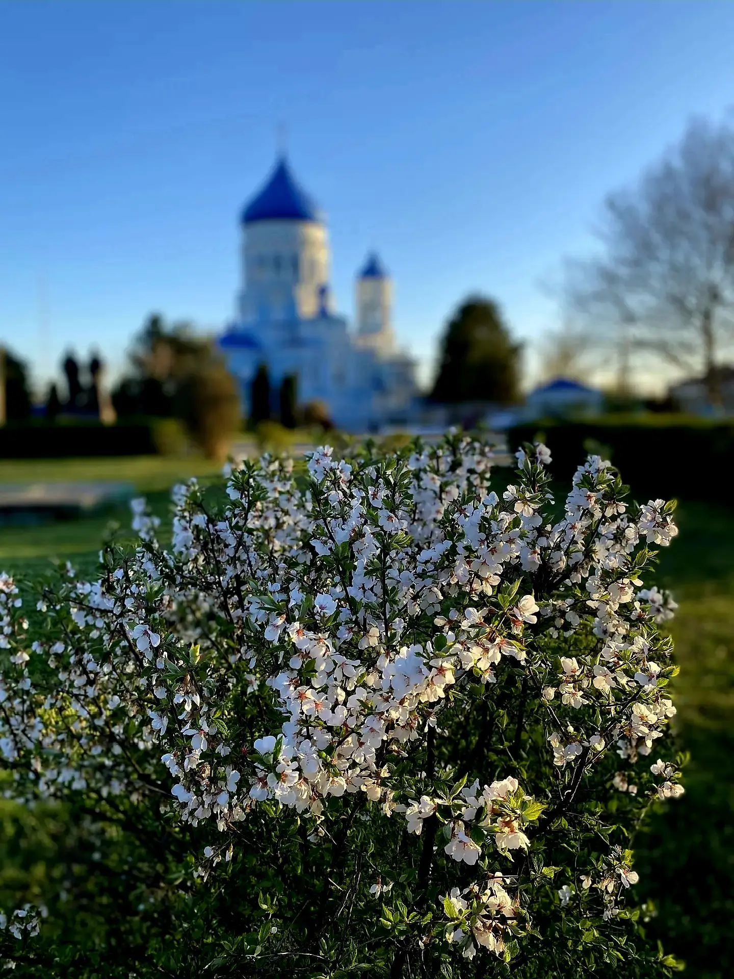 Светлая Пасха  Храм Покрова Пресвятой Богородицы в лучах весеннего солнца.  Пусть этот день наполнит