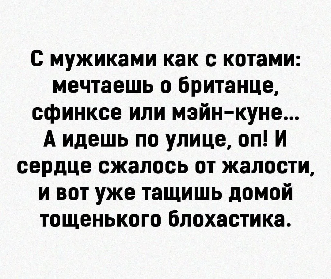 Женский юмор