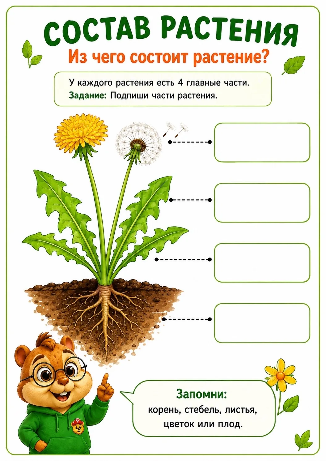 Изучаем растения ☘️
