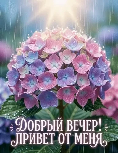 Рай открыток | Открытки 🥰