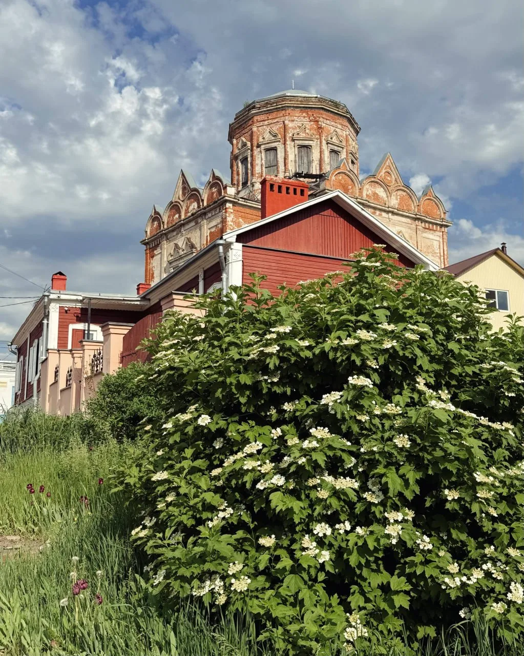 Летний Елец