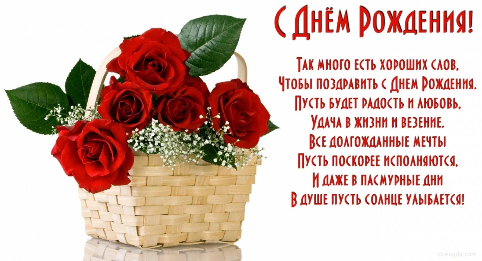 Поздравить хотим с Днем рождения ведущего ветеринарного врача лаборатории ветеринарно-с...