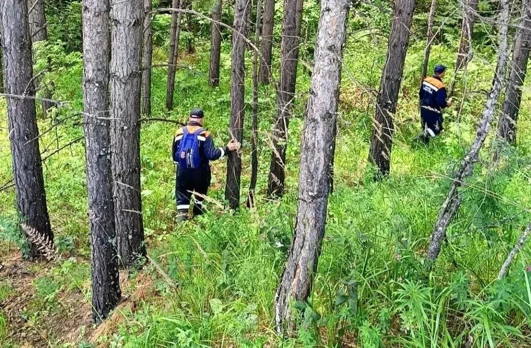 В лесах под Красноярском заблудились 2 человека

Накануне днем неподалеку от микрорайона Торгашино п