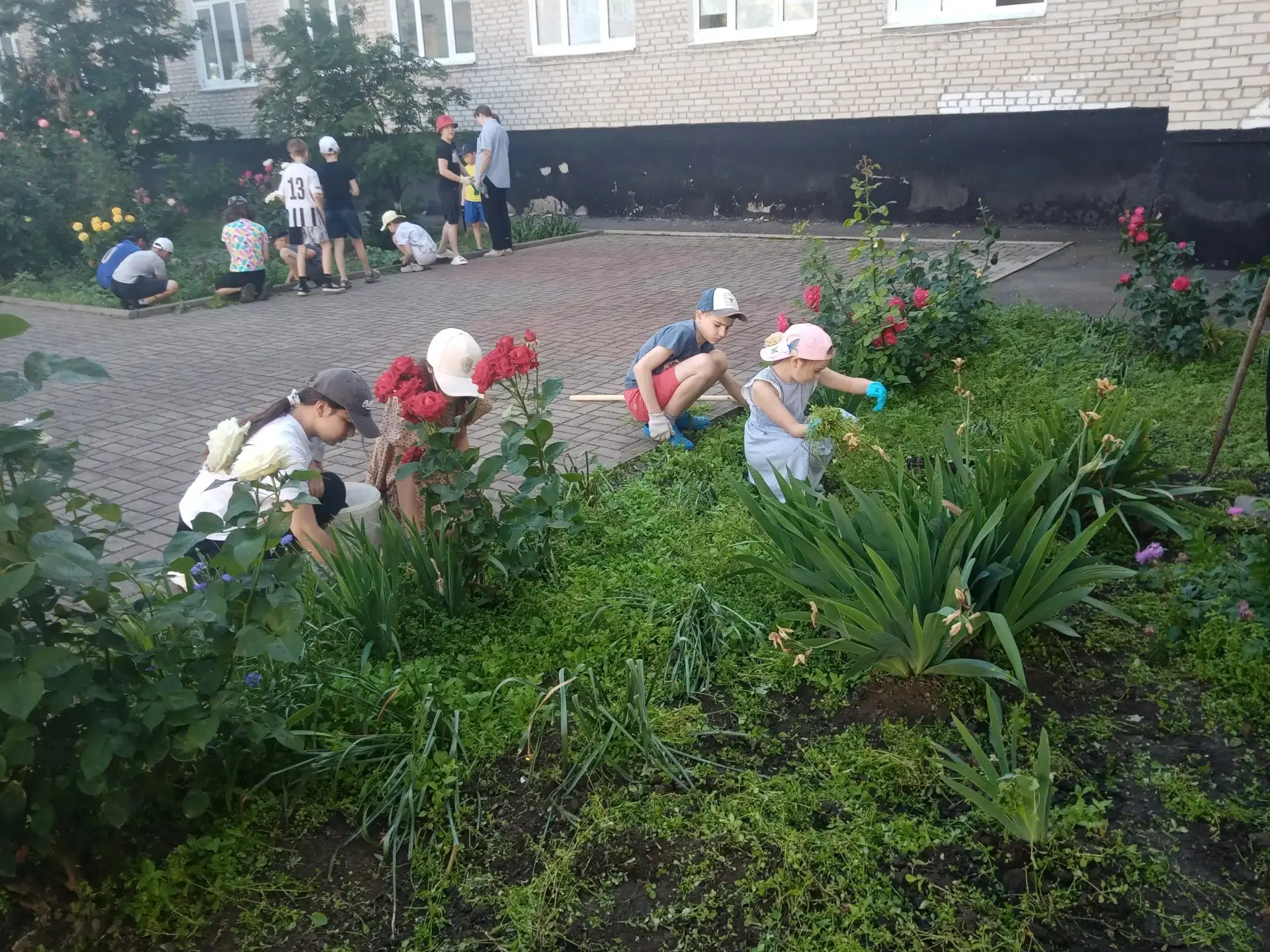 Пятая трудовая четверть в самом разгаре, и мы продолжаем трудиться, делая нашу школу чи...