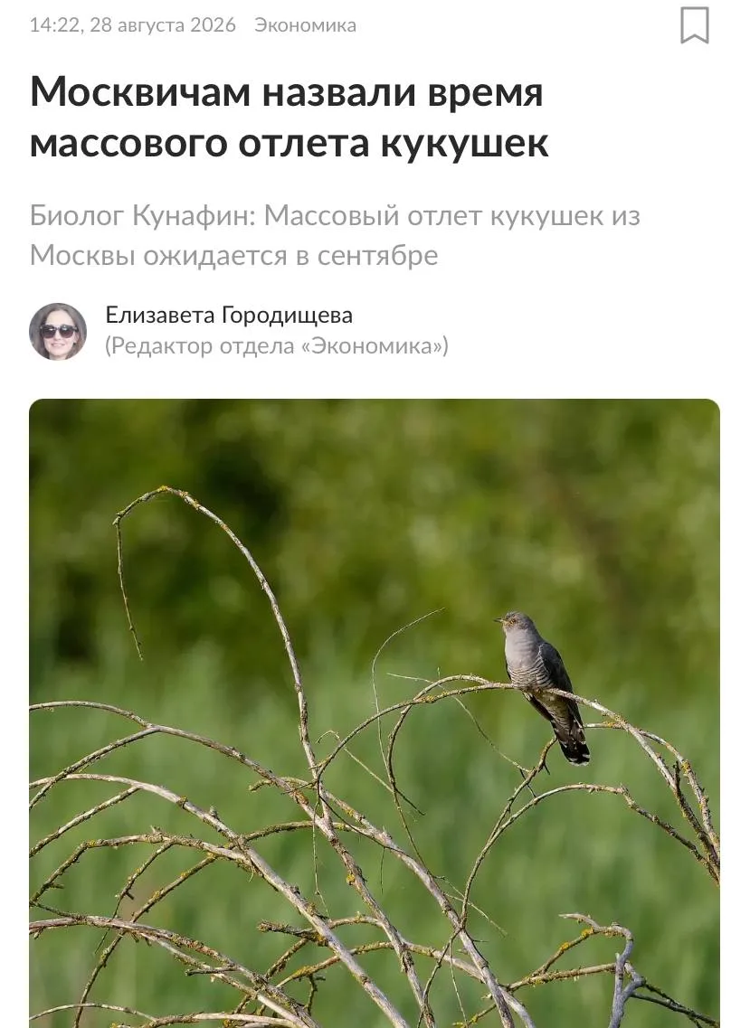Внимание: в Москве в сентябре ожидается массовый отлёт кукушек — об этом предупреждает ...