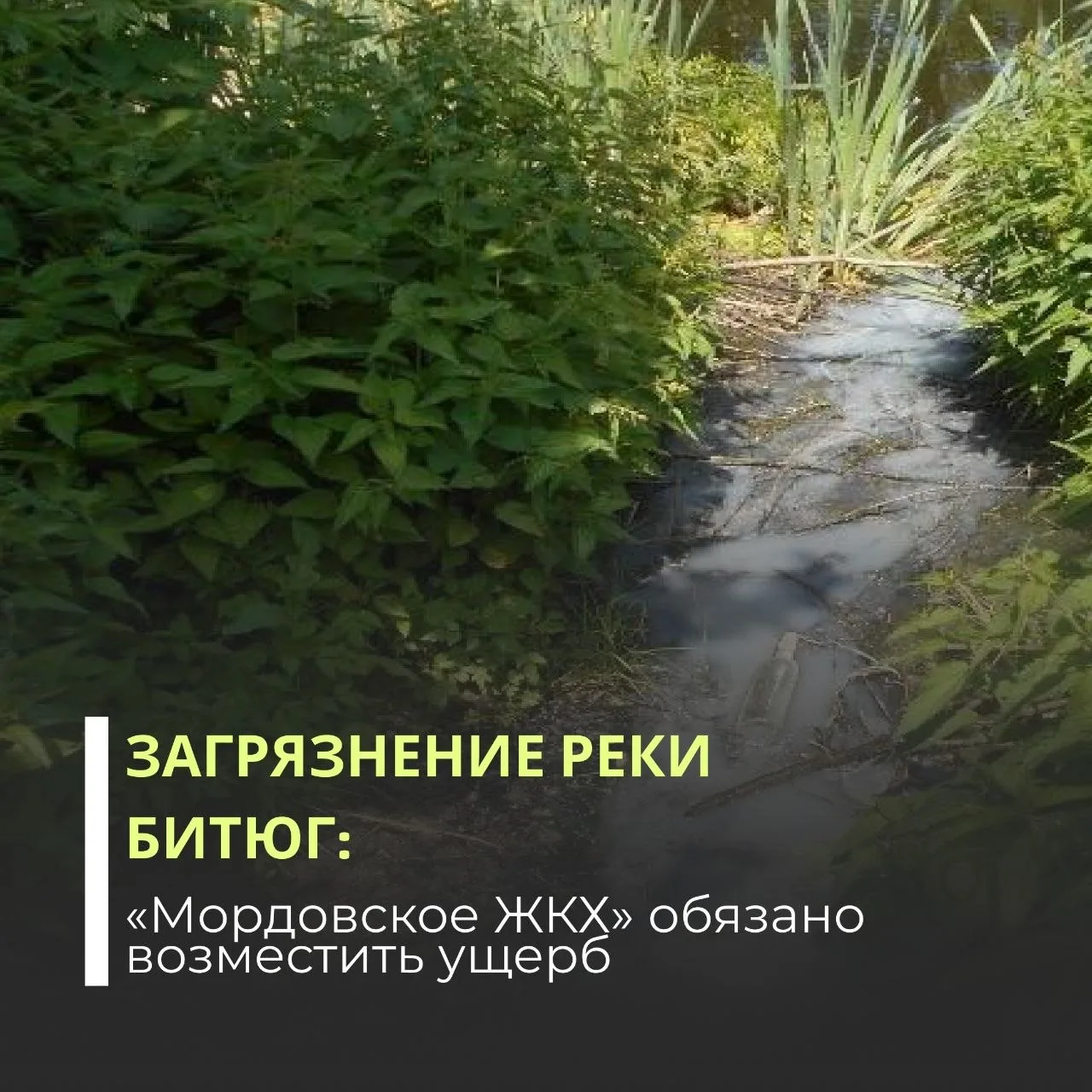 Суды трех инстанций поддержали требования Росприроднадзора за загрязнение реки Битюг.  🔎Нарушение вы