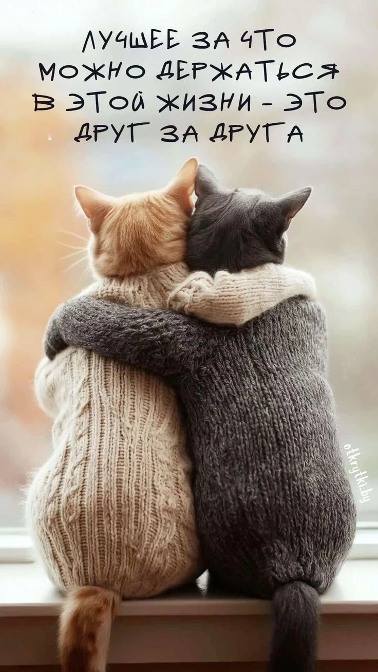 🥰  Оставляйте реакции, если понравилась открытка и делитесь с близкими ❤️