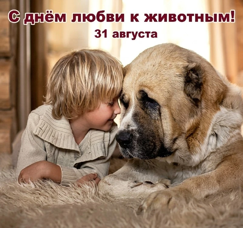 Открытки: подписаться ❤️