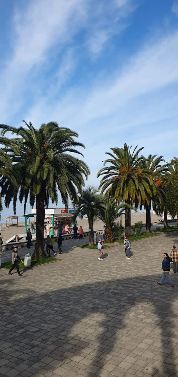 🌴  Туры в  в Абхазию