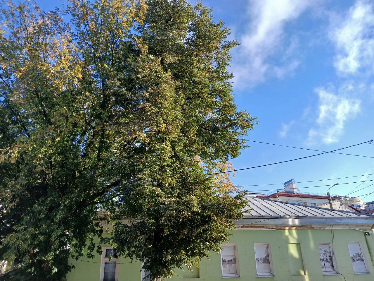 🌤 В Калужской области ожидается солнечная погода