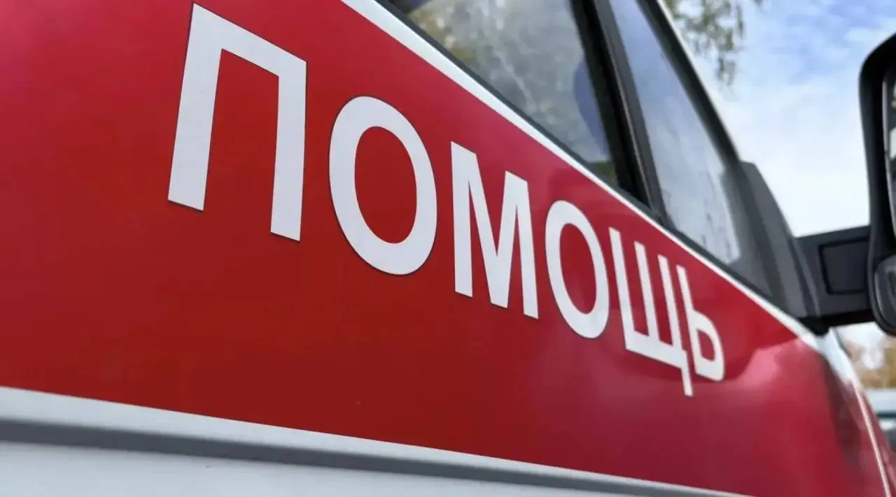 ❗️Медведь напал на 15-летнего подростка в Алтайском крае