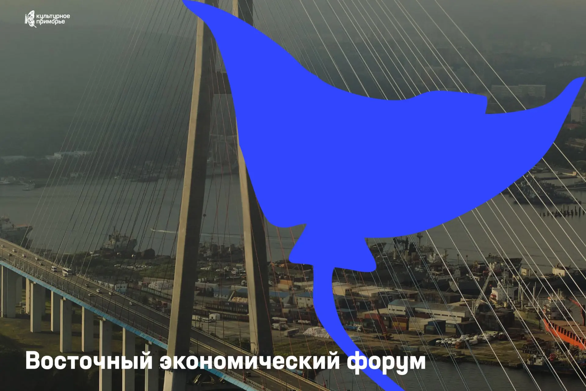 Восточный экономический форум приближается! Встречайте программу 🌏