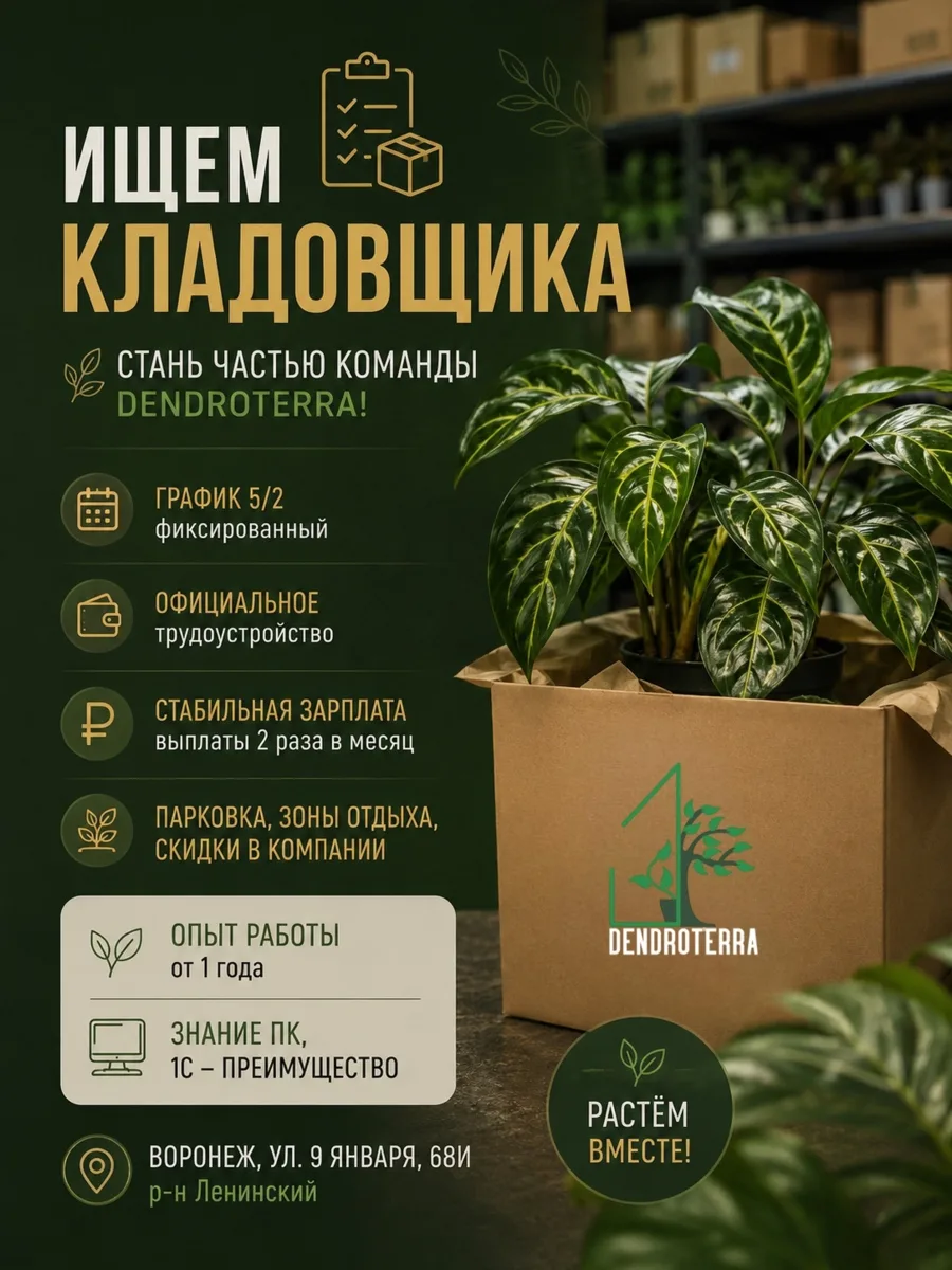 📦 ИЩЕМ СОТРУДНИКА — КЛАДОВЩИКА!

DENDROTERRA — оптово-розничная компания в Воронеже, специализиру