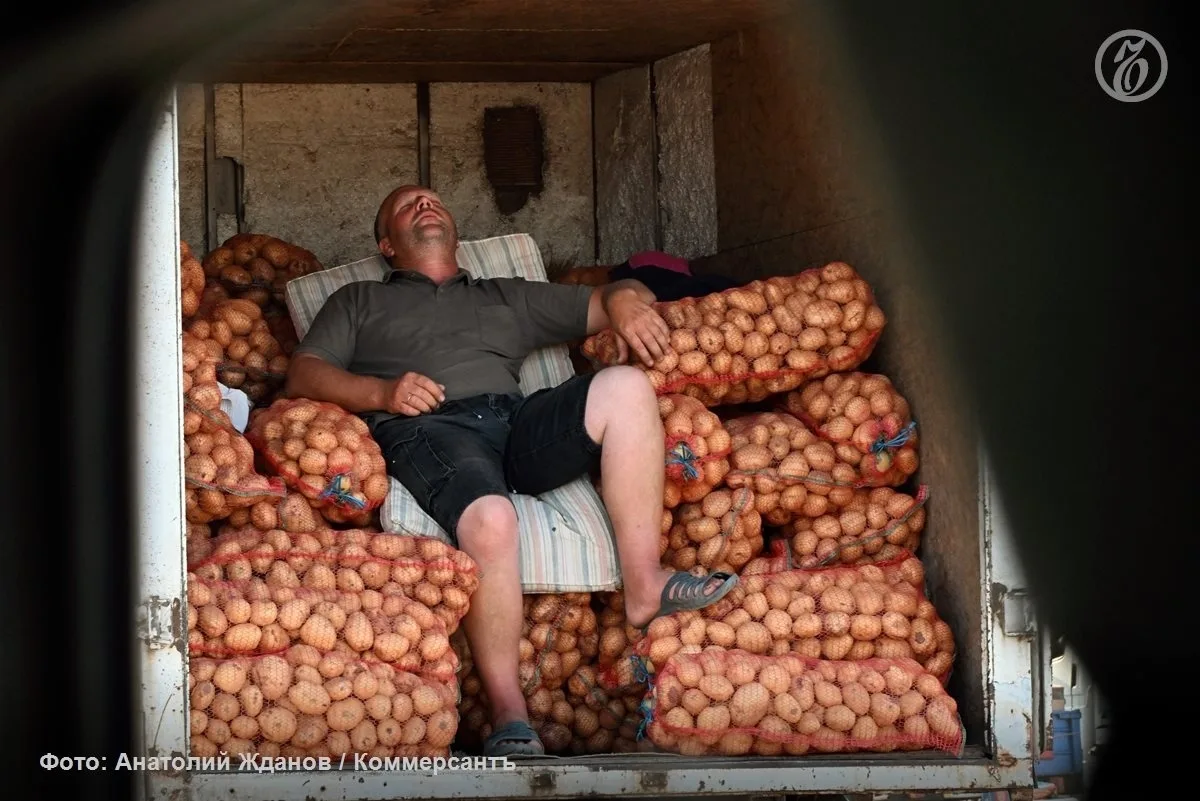 🥔 Картофель стал чемпионом по росту цен.