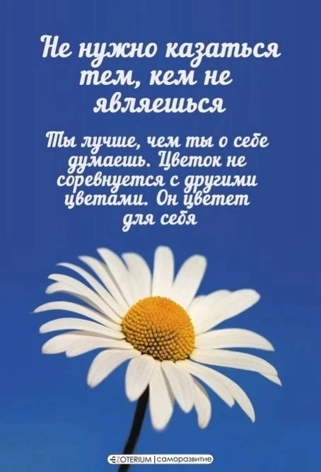 Послание дня — просто цвети.