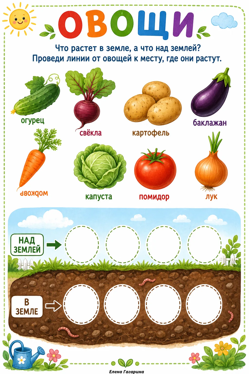 🥕 Где растут овощи — над землёй или прячутся в земле?
