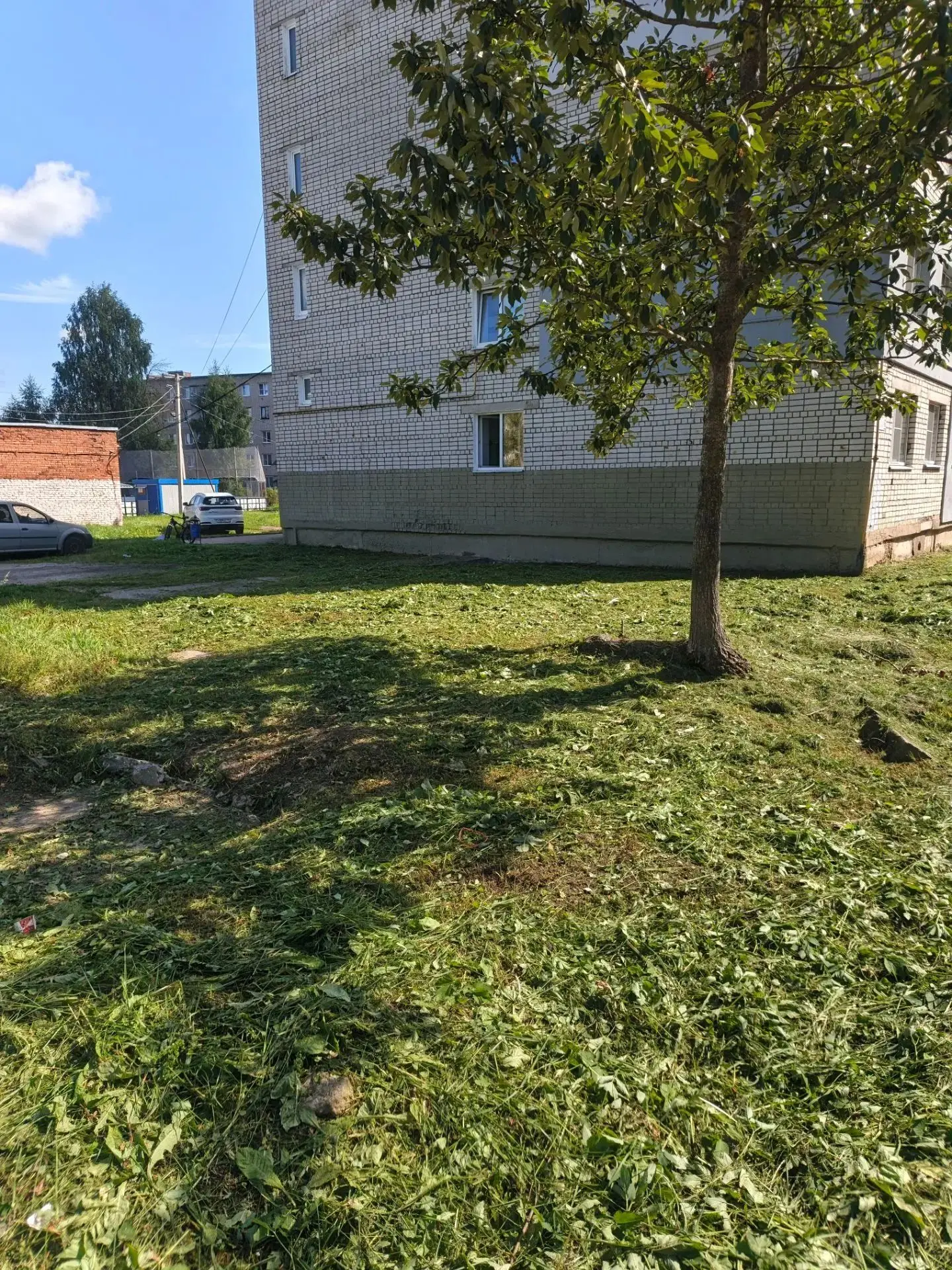 Угадайте, что общего между стрижкой газона и расследованием? 👀
