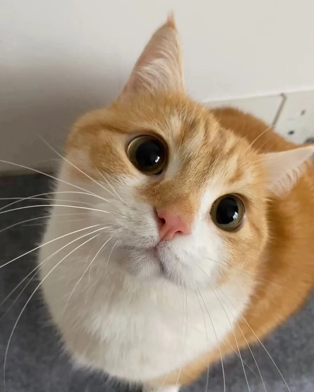 Добрый день, друзья! 🥰
