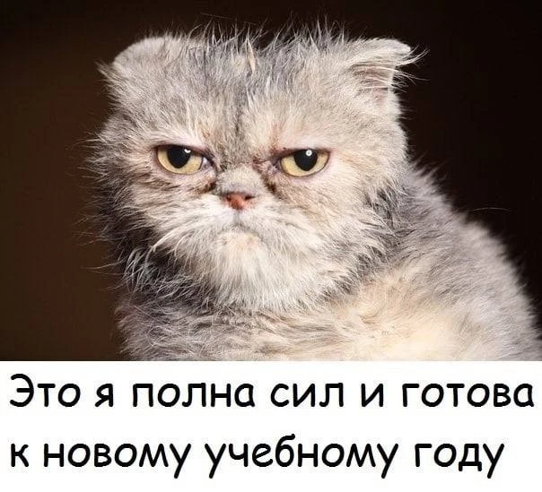Коллеги, вы готовы?😅👨‍🏫👩‍🏫