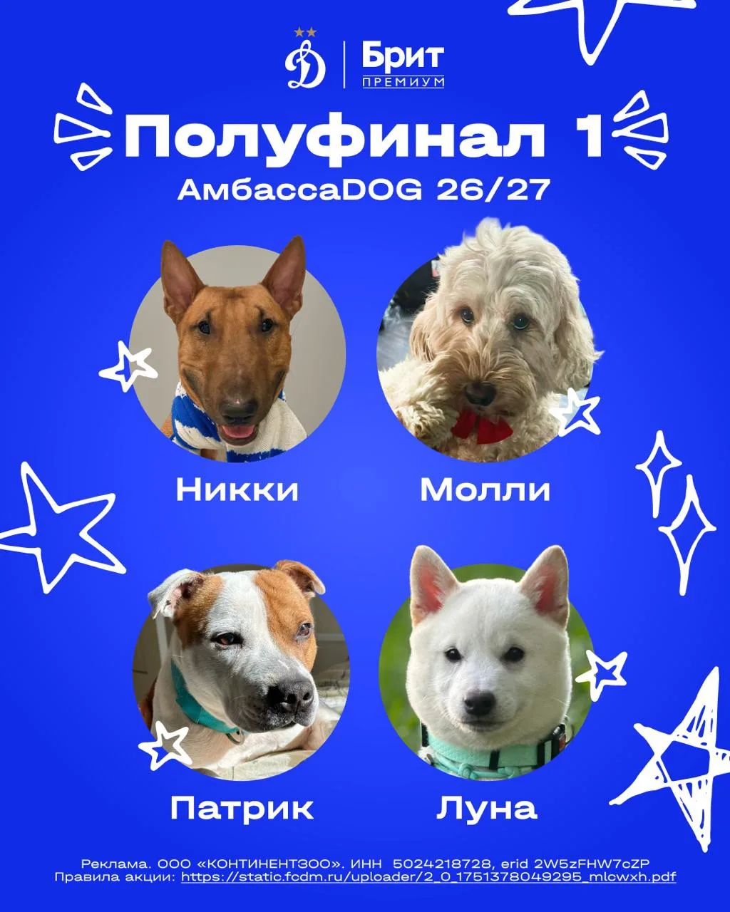 АмбассаDOG «Динамо» на сезон-2026/27 🐶⭐️