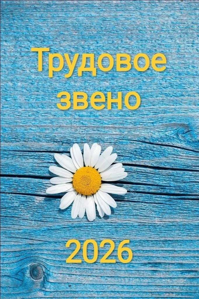 🌞💫16 июня завершило свою работу Трудовое звено. Всё это время в школе царила атмосфер...