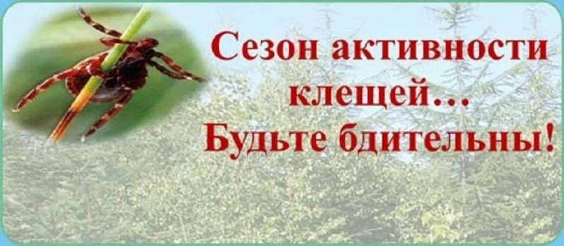 📢Активность клещей: Как защититься и предотвратить укусы