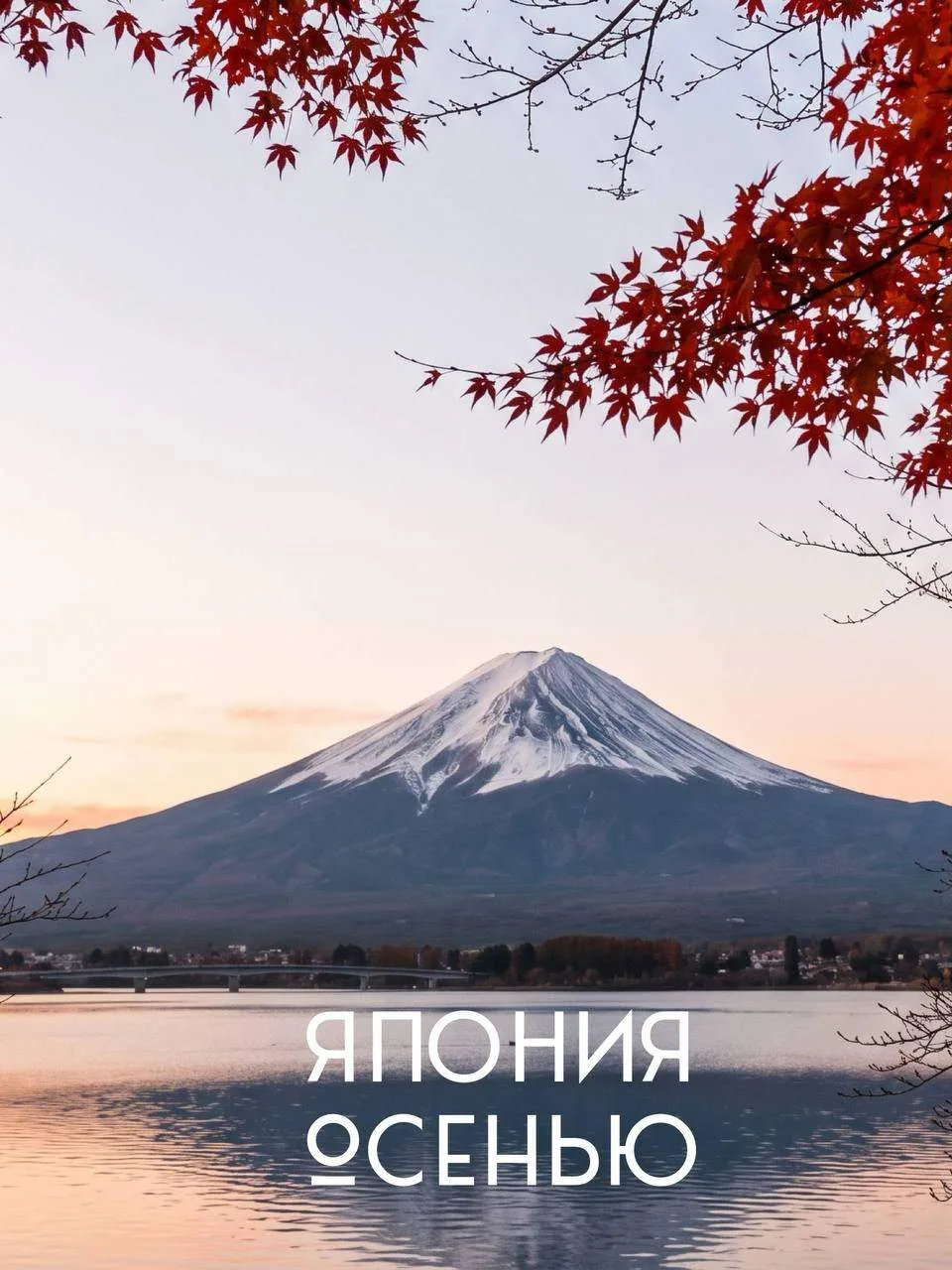 🍁Одно из важных дел, которое непременно нужно сделать в начале осени, - забронировать ...