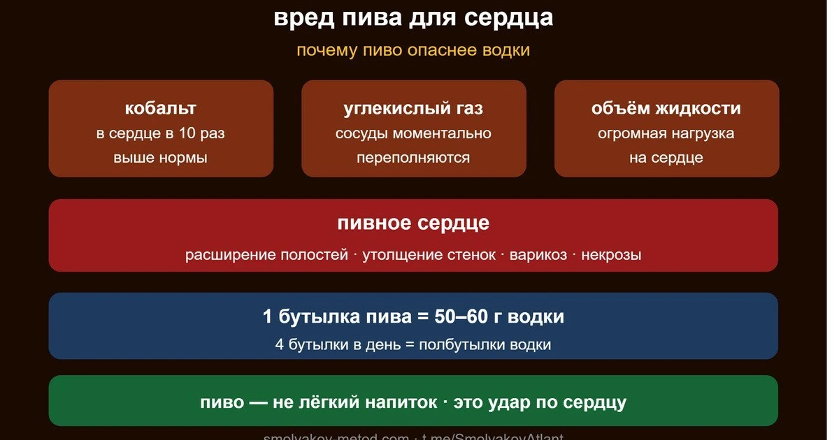 Вред пива для сердца — почему пиво опаснее водки
