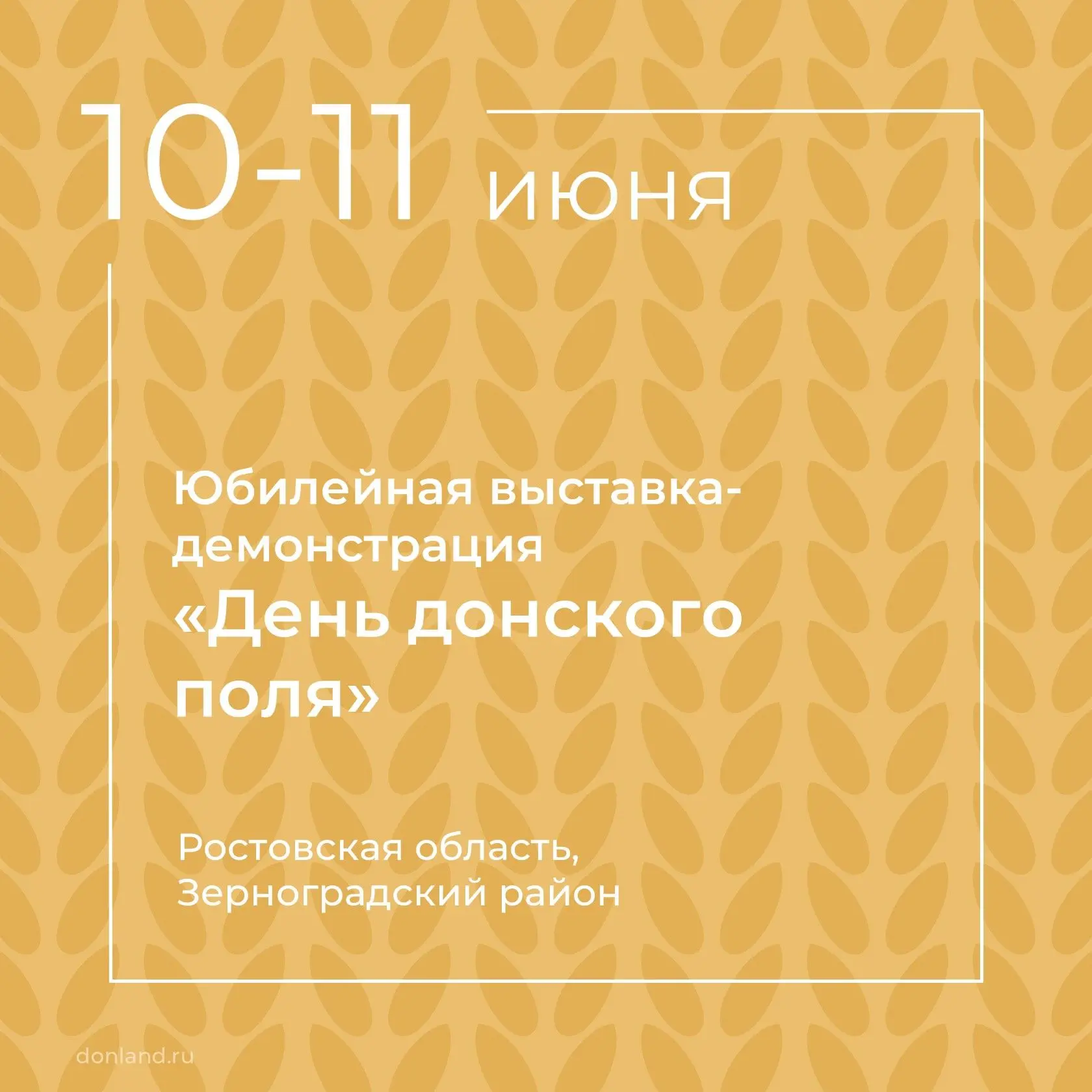 10-11 июня в Зерноградском районе пройдет выставка-демонстрация «День донского поля».