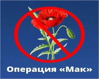 Уважаемые жители Бейсугского сельского поселения Выселковского района, ИП, главы КФХ, р...
