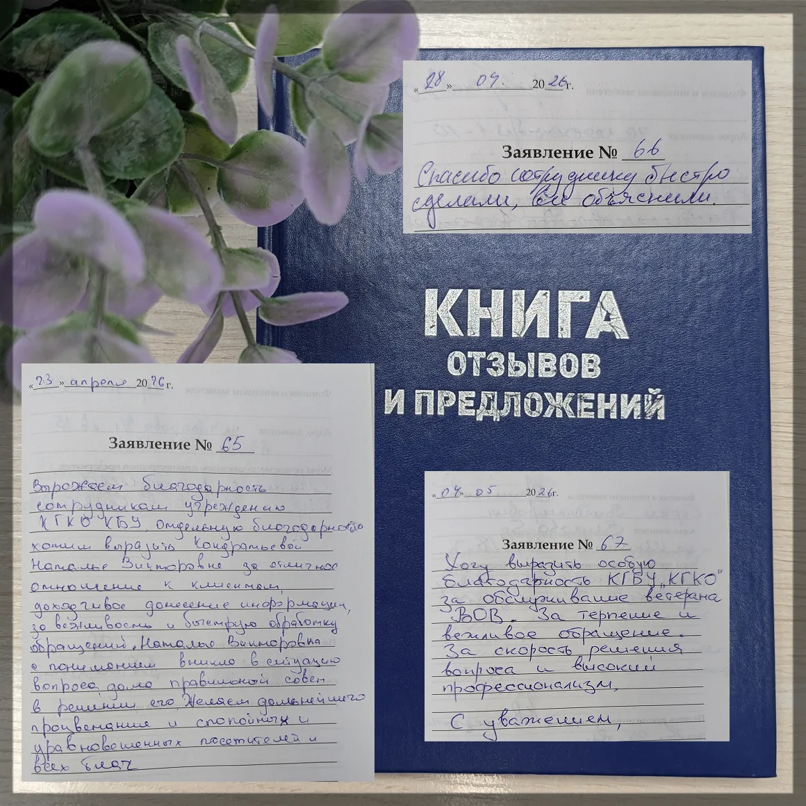 Мы регулярно получаем тёплые отклики в книге отзывов и предложений, и каждый из них очень ценен для 