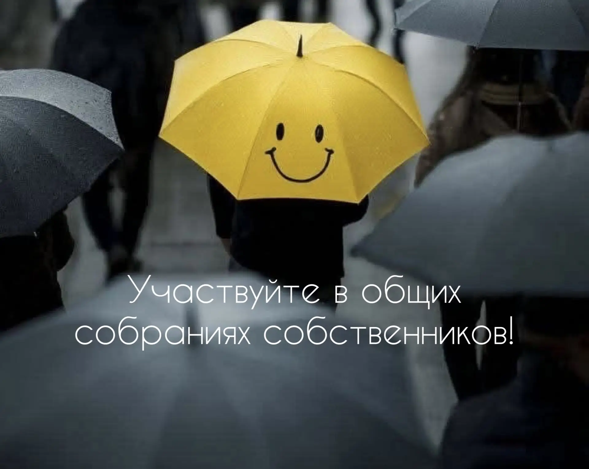 Уважаемые жители! Публикуем промежуточные итоги голосований ⬇️