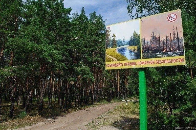 🔥 В Тамбовской области введен особый противопожарный режим до октября