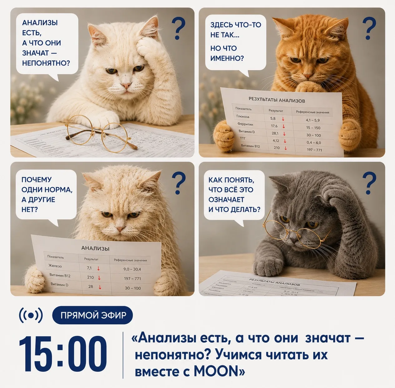 АНАЛИЗЫ ЕСТЬ, А ЧТО ОНИ ЗНАЧАТ — НЕПОНЯТНО? 🧐