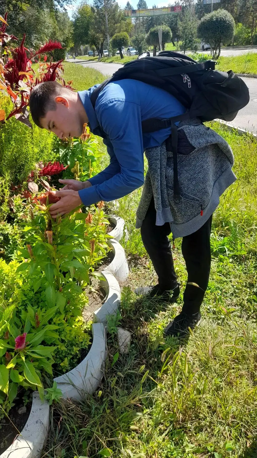 🏵️ Обучающиеся 8 класса выполняли практические работы в цветнике.