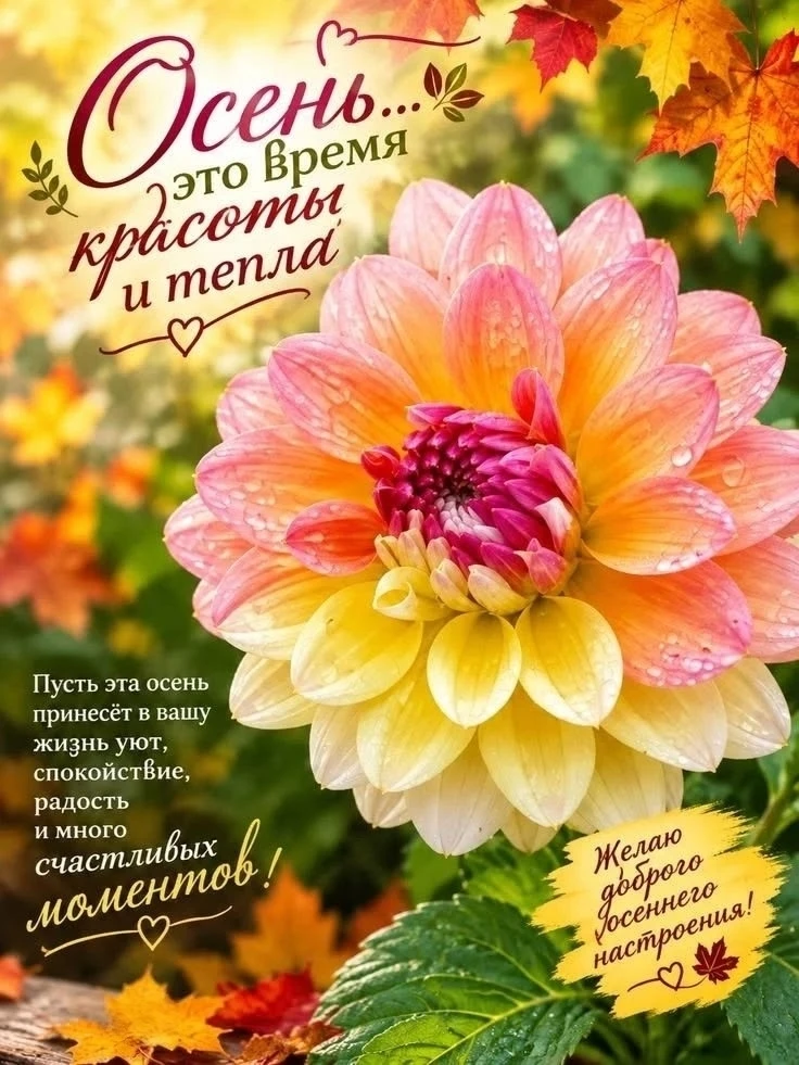 Осеннего настроения!