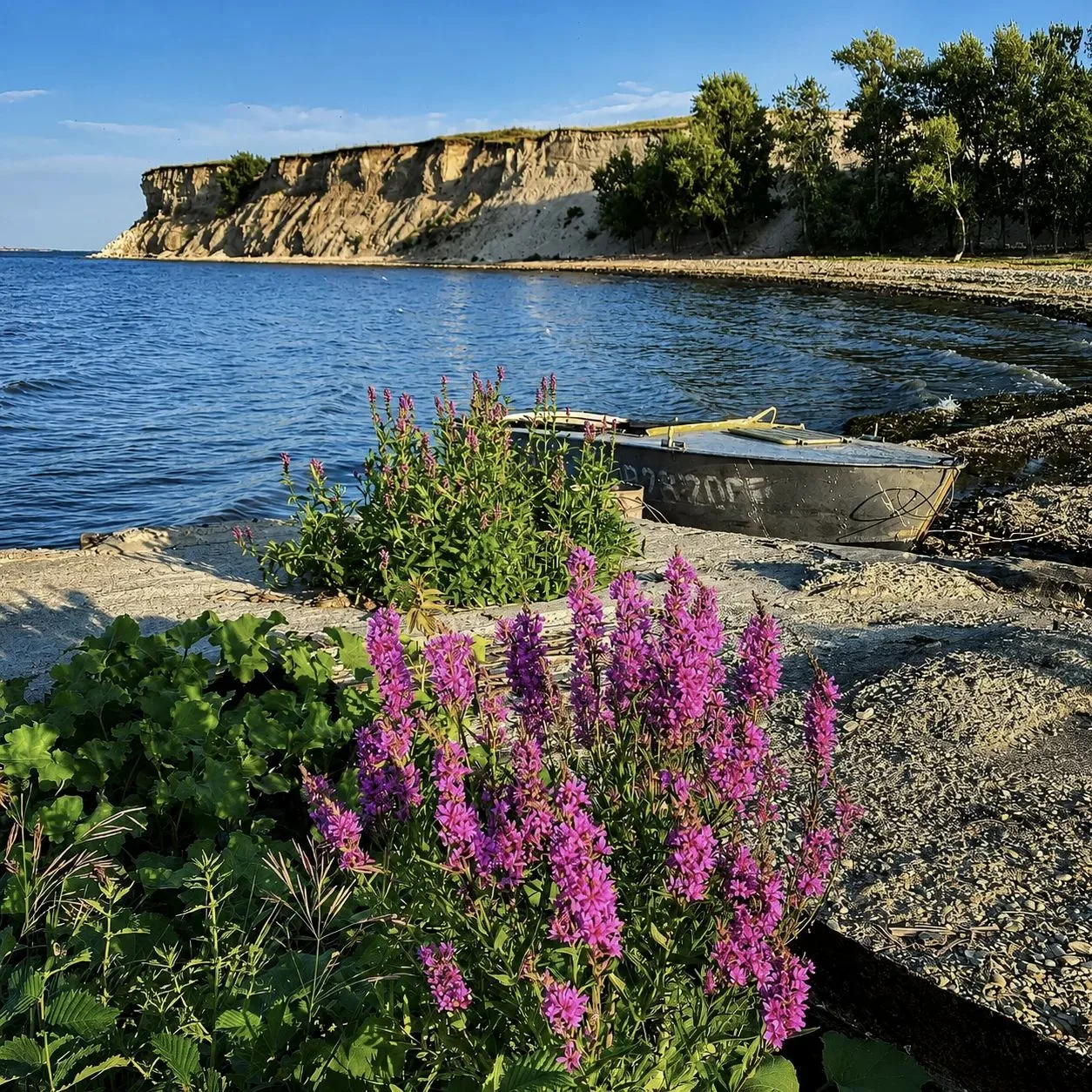 Доброе утро, Саратовщина! 🌊☀️