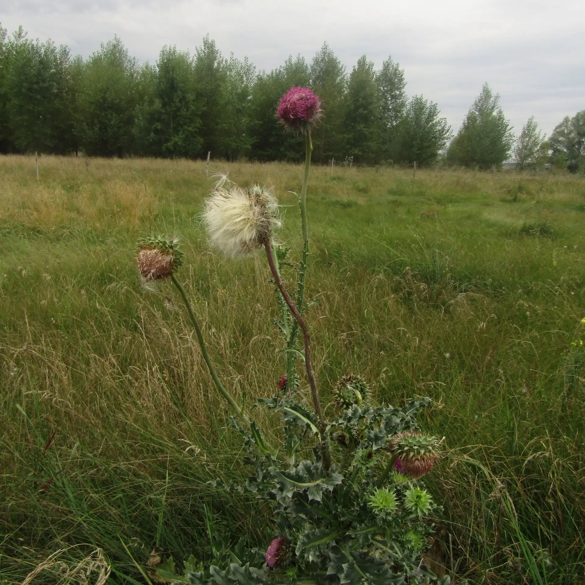🌤Сегодня, 30 сентября, в республике ожидается ясная и сухая погода, но с перепадами те...