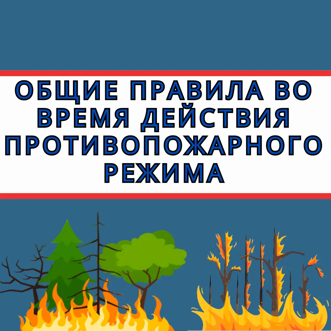 Один окурок. Одна искра. Один костер, который «вроде бы потушили».